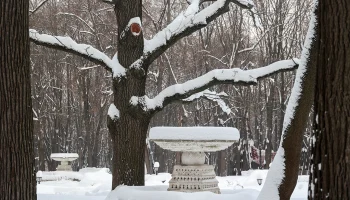 Синоптики пообещали москвичам облачную погоду без осадков 26 января