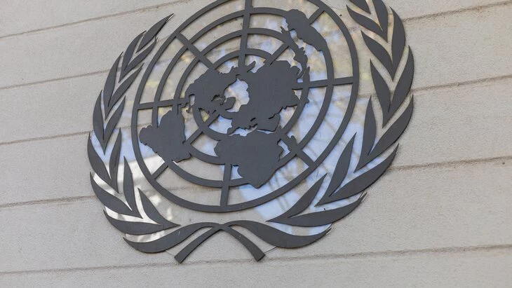 ООН обеспокоена атакой на корреспондента ВГТРК Поддубного ООН обеспокоена атакой на корреспондента ВГТРК Поддубного