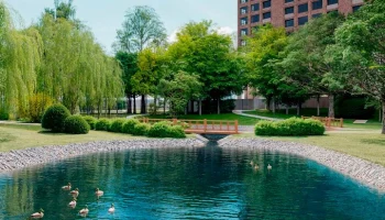 Реабилитация Кунцевских прудов началась на западе Москвы