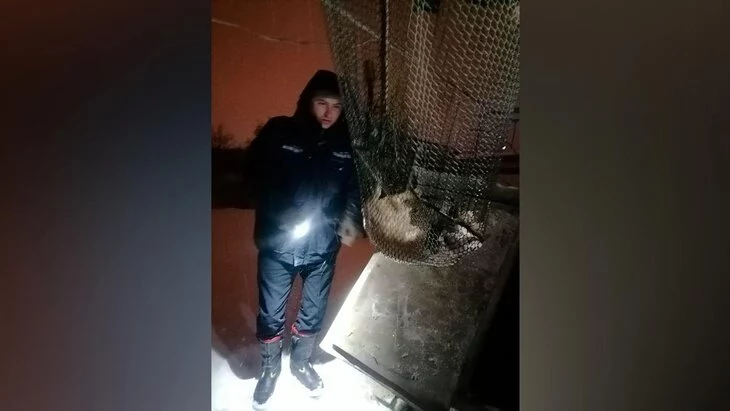 Подмосковные спасатели вытащили упавшую в колодец кошку Подмосковные спасатели вытащили упавшую в колодец кошку