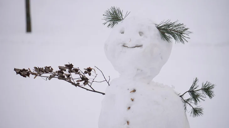 Вильфанд: Снег покрыл 95 процентов территории России Вильфанд: Снег покрыл 95 процентов территории России