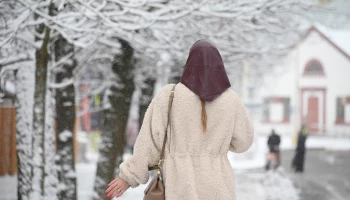 Синоптики спрогнозировали сильный снег и до 2 градусов в Москве 23 ноября