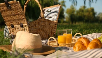 Врач Потапова рассказала, чем можно заразиться во время загородного отдыха