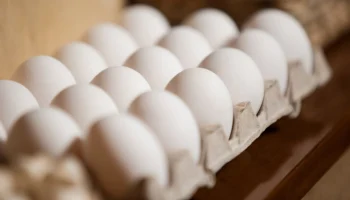 "Коммерсант": в России зафиксировано перепроизводство яиц