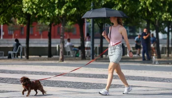&laquo;Осадков ждем всегда&raquo;: Ильин рассказал, когда дожди и грозы вернутся в Москву