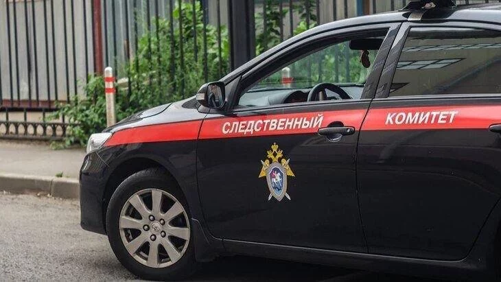 ТАСС: работница кадетского корпуса СК обвиняется в участии в террористической организации