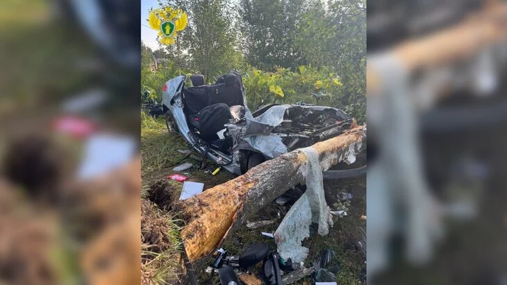 Три человека погибли при столкновении автомобиля с деревом в ТиНАО