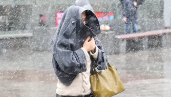 Мокрый снег и заморозки ожидаются в Московском регионе в ночь на 19 апреля