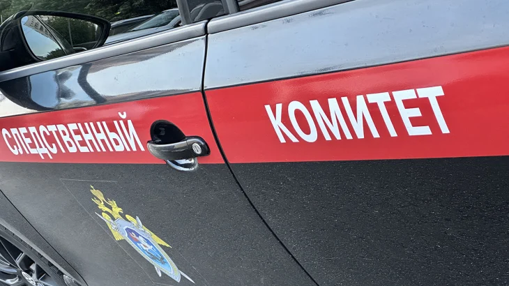 СК назвал причиной убийства человека в Солнечногорске конфликт на почве алкоголя СК назвал причиной убийства человека в Солнечногорске конфликт на почве алкоголя