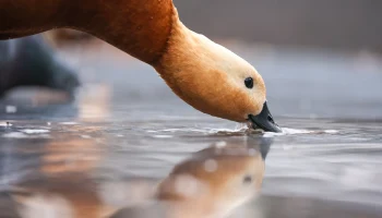«Аномально тепло»: какая погода ожидается в Москве в предстоящие выходные