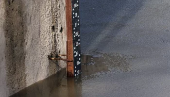 Уровень воды в курганском селе Звериноголовском превысил 10 метров