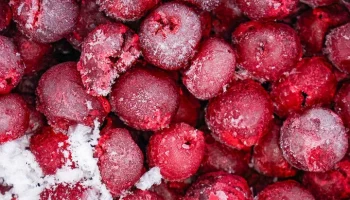 Замороженные ягоды со всей страны можно найти на столичных ярмарках