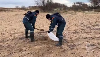 Почти 150 участников очистки побережья от мазута обратились к врачам