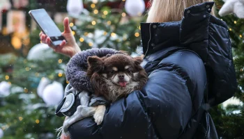 Синоптик Тишковец пообещал теплую погоду 3 и 4 января в Москве