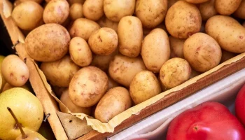 Минимальную цену на картофель могут ввести в России