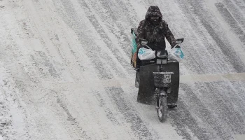 Снег в конце апреля усилил спрос на сладости и одежду для животных в Москве