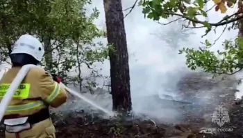 Три лесных пожара ликвидированы в Ростовской области