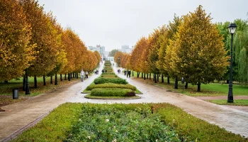 Циклоны несут влагу и тепло: Позднякова рассказала о погоде в Москве до конца октября