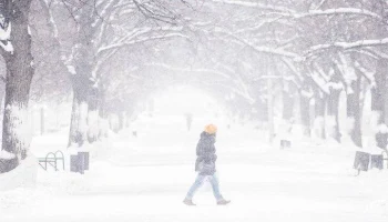 Более 540 населенных пунктов Новгородской области остались без света из-за непогоды