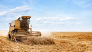 Мишустин заявил, что АПК успешно обеспечивает продбезопасность РФ в условиях санкций