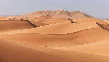 В пустыне Невады найдено 300 человеческих останков