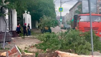 Городские службы Москвы ликвидируют последствия непогоды