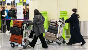 Внуково и Шереметьево приняли меры, предотвращающие побеги питомцев из переносок