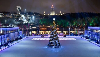 Свыше тысячи новогодних елей установлено в Москве