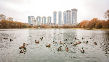 В Москве завершилась реабилитация Мосфильмовского пруда