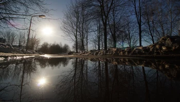 Синоптики пообещали москвичам до 8 градусов тепла 17 марта