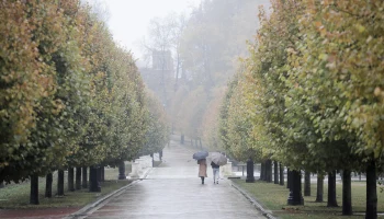 «Желтый» уровень опасности из-за тумана объявлен в Москве в ночь на 2 ноября