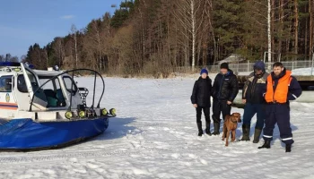В Подмосковье спасли провалившихся под лед мужчин, подростка и собаку