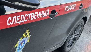 Выбросившей убитого ребенка на помойку пермячке предъявили обвинение