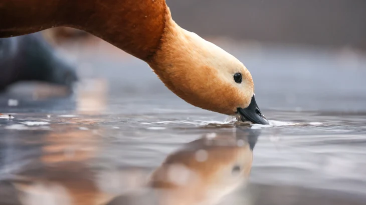 Синоптик Ильин: 21 декабря в Москве может потеплеть до плюс трех Синоптик Ильин: 21 декабря в Москве может потеплеть до плюс трех