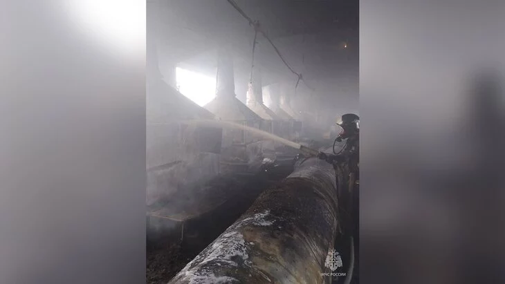 Пожар в цеху подмосковного завода "Электроизолит" ликвидирован Пожар в цеху подмосковного завода "Электроизолит" ликвидирован