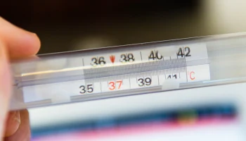 Поначалу похож на простуду: врач Крючков &mdash; о симптомах смертельного вируса Нипах