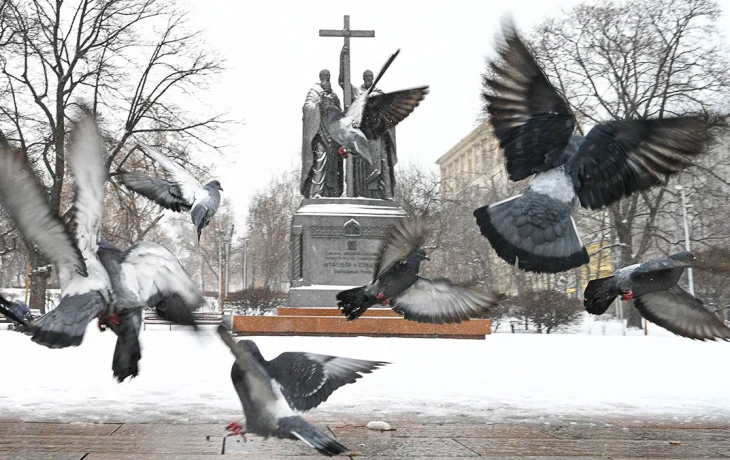 Синоптик Позднякова: Пик зимних холодов в Москве пройден Синоптик Позднякова: Пик зимних холодов в Москве пройден