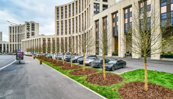 Высадка деревьев началась на проспекте Академика Сахарова в центре Москвы