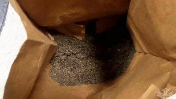 Таможенники во Внуково нашли в багаже радиоактивный вулканический песок Таможенники во Внуково нашли в багаже радиоактивный вулканический песок