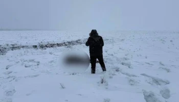 Тело пропавшего подростка под Саратовом найдено на берегу Волги