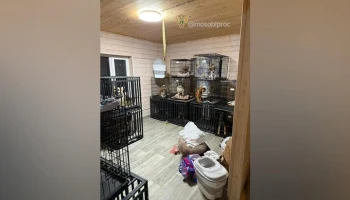 В Подмосковье начали проверку после жалоб на зоогостиницу