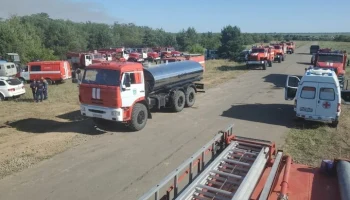 Пожар в Каменском лесничестве Ростовской области локализован