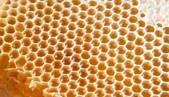 Руспродсоюз: Дефицит меда в РФ может произойти из-за погодных аномалий