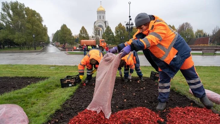 Цветники в Москве начали готовить к зиме