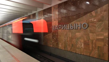 Мужчине, спрыгнувшему на путь на станции &laquo;Царицыно&raquo;, назначили наказание