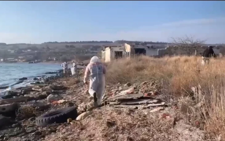 Загрязнение мазутом впервые дошло до Ялты, охватив 16 километров побережья Крыма