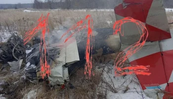 ТАСС: два человека пострадали при жесткой посадке самолета в Нижегородской области