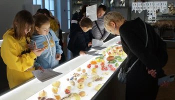 Посетители &laquo;Биокластера&raquo; на ВДНХ высоко оценили павильон &laquo;Пчеловодство&raquo;