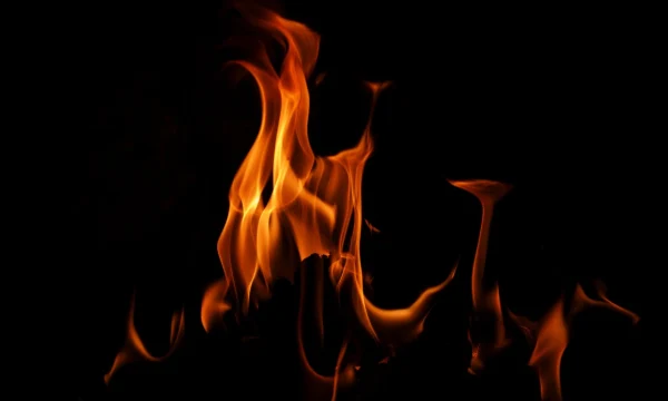 Пожар разгорелся в порту Усть-Луга после атаки БПЛА Пожар разгорелся в порту Усть-Луга после атаки БПЛА