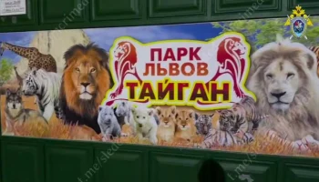 Бастрыкин поручил доложить о ходе расследования уголовных дел в парке "Тайган"